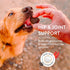 Shameless Pets Soft-Baked Dog Treats for Healthy Breath, Training Treats Made in The USA - 6 OZ