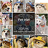 Generic Hole,Summer Junchl Pet Hats,Dog Bucket Hats with Ear Cat Dog Round Brim Cap,Outdoor Travel Sunscreen Pet