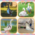6 DoubleFill Pcs Chicken Diapers for Indoor Chickens Reusable Washable Duck Diapers with Bowtie Adjustable Ducklings