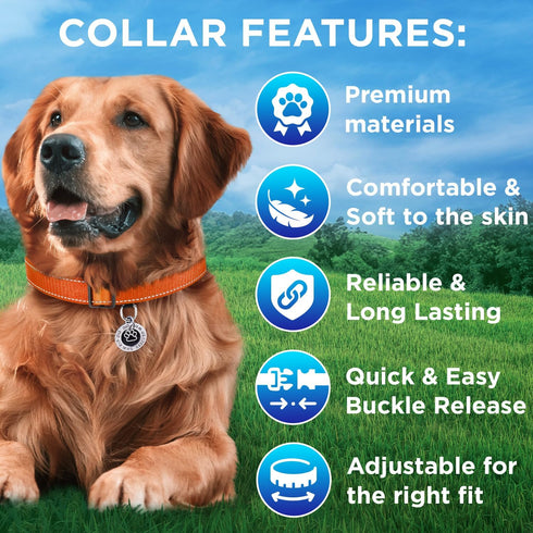 TECEUM Reflective Pet Collar – Orange L, Extra Soft Padding Basic Nylon Dog Collar with Quick Release Buckle