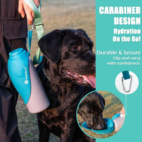 27 oz LumoLeaf Insulated Dog Water Bottle Stainless Steel - Keep Water Cool or Warm, Portable Pet Water Bowl