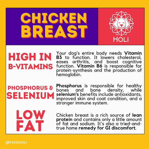 100% 7oz HOLI Freeze Dried Chicken Dog Food Topper - Single Ingredient, Human-Grade Lean Chicken Breast - Dog Food