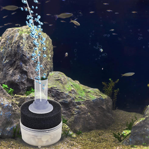 Internal Sponge Filter for Aquariums by Aquatop, for up to 10 Gallon Tanks, CAF-10