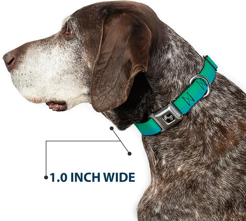Dog Collar Seatbelt Buckle, Teal Ombre, 1.0 Inch Wide, Fits 15 to 26 Inches