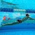 2 Sets Leyndo Swim Parachute Swim Resistance Belt Strength Training Equipment Exerciser with Elastic Tether and Drag