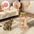 OFFKITSLY Track,2-in-1 Cat Toy Ball Interactive Cat Toy for Indoor Cats,Natural Sisal Ball with Solid Wooden
