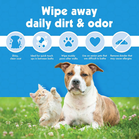 Petkin Jumbo Pet Eye Wipes, 80 Extra Moist Wipes, 2 Pack - Natural Formula for Dirt, Discharge, Tear Stains