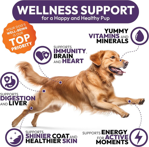 170 Immune Dog Multivitamin Chewable - Dog Vitamins and Supplements with Glucosamine - Chews - Hip & Joint, Pet