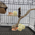 Tfwadmx 10 Pcs Willow Ball, Bird Foraging Toys, Small Animal Chew Toy for Parrot, Macaw, Hamster, Guinea Pig