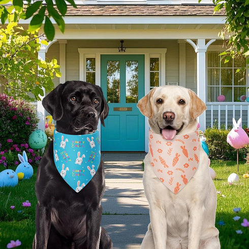 Agroon 2PCS, 4 Easter Dog Bandanas Large Pattern Colorful Scarf for Boy and Girl, Triangle Reversible Bibs Breed