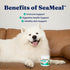 3 Immune, 5oz Solid Gold Cat & Dog Multivitamin Powder - Kelp Powder, Omega & Vitamins for Dental, Digestive, Skin