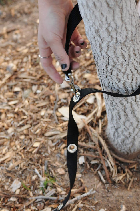Hands Free Dog Leash Training Lead, Double Snap Grommet Adjustable, Large 1" x 7.5’ Red