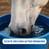 Sit Stay Forever Organic Sunscreen & Moisturizer for Horses, Sun Protection for Nose and Sensitive Skin, 4 oz