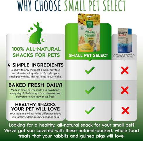 Small Pet Select Healthy Snackers - Banana