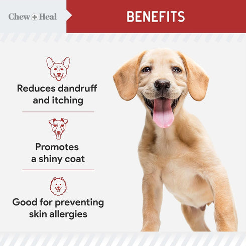 '-360 3, 6, (2 Packs 180, Best Itchy Skin Relief for Dogs Soft Chew Omega Treats for Skin and Coat -Salmon Oil Blend