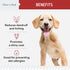 '-360 3, 6, (2 Packs 180, Best Itchy Skin Relief for Dogs Soft Chew Omega Treats for Skin and Coat -Salmon Oil Blend