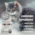 HomeoPet Feline Nose Relief, Natural Nasal and Sinus Medicine for Cats, 15 Milliliters