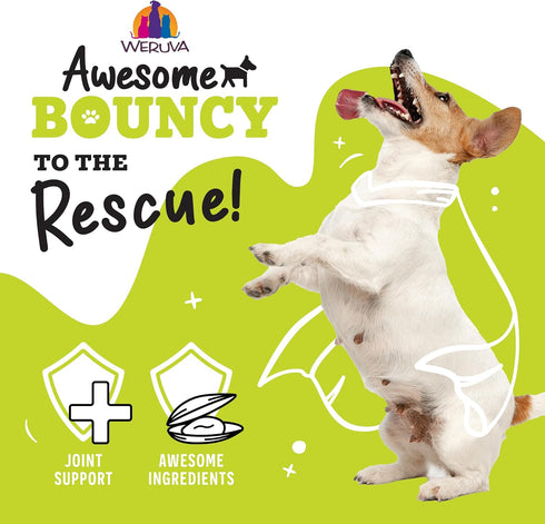 6oz (Pack 8) Weruva Awesome Bouncy Wet Dog Food, Beef & Brown Rice, Can