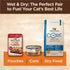 Wellness CORE Signature Selects Natural Canned Grain Free Cat Food Variety Pack, Shredded Poultry Selection, 5.3 Ounce