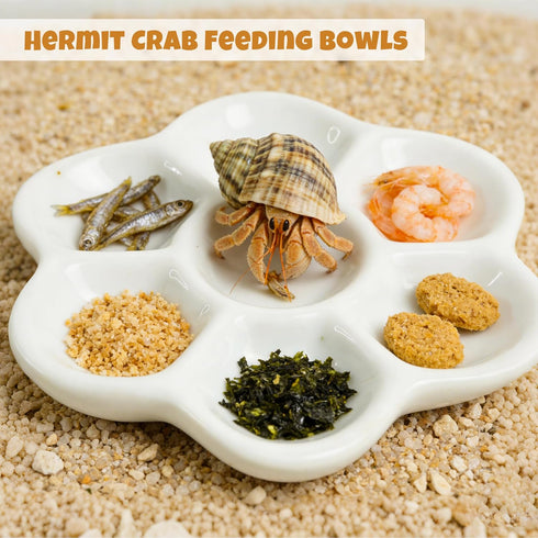 2 Hermit Crab Hideout Cave with Food Dishes & Aquarium Plants Underground Habitat Shelter for Terrarium or Tank Corner