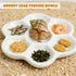 2 Hermit Crab Hideout Cave with Food Dishes & Aquarium Plants Underground Habitat Shelter for Terrarium or Tank Corner