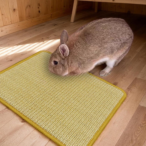 (1PC, 16x12in) DYAUS Bunny Scratch Pad, Natural Sisal Rabbit Scratching Mat for Claws and Teeth Care, Indoor Bunny Chew