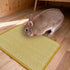 (1PC, 16x12in) DYAUS Bunny Scratch Pad, Natural Sisal Rabbit Scratching Mat for Claws and Teeth Care, Indoor Bunny Chew