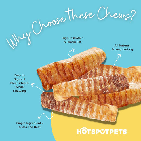 hotspot pets Premium Beef Trachea for Dogs 6" STRIPS Split - All Natural Grass-Fed Beef Dog Chews