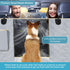 2 Hammock Lassie Dog Car Seat Covers for Back Seat with Seat Belts, Waterproof Dog Car with Mesh Window Durable Scratch