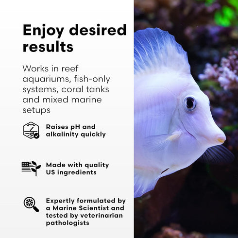 500 ml Brightwell Aquatics pH+ Alkalinity and pH Booster for Marine & Reef Aquariums Increases pH and KH Stability