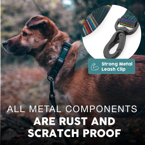 Embark Urban Dog Leashes, Colorful Strong Nylon for Small Medium Large Dogs, Heavy Duty (Mayan, 4 Ft)