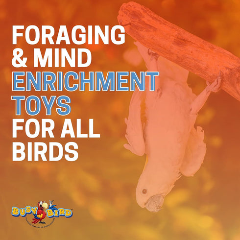 Stainless Steel Spinner Bird Toy - Durable Puzzle Enrichment Toy for Medium to Large Birds, Bird Cage Accessories