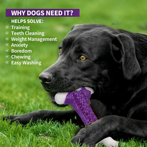 Tough Dog Chew Toys for Large Medium Breeds, Indestructible Bone Toy, Natural Nylon Heavy Duty Teething Training