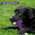 Tough Dog Chew Toys for Large Medium Breeds, Indestructible Bone Toy, Natural Nylon Heavy Duty Teething Training
