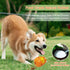 Dragon Egg Dog Chew Toy for Aggressive Chewers, Indestructible Tough Toy for Medium Large Dogs, Puppy Pet Toy