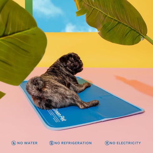 The Green Pet Shop Cool Pet Pad - Extra Small, Blue - Self-Cooling, Pressure Activated Mat for Dogs & Cats up to 8 lbs