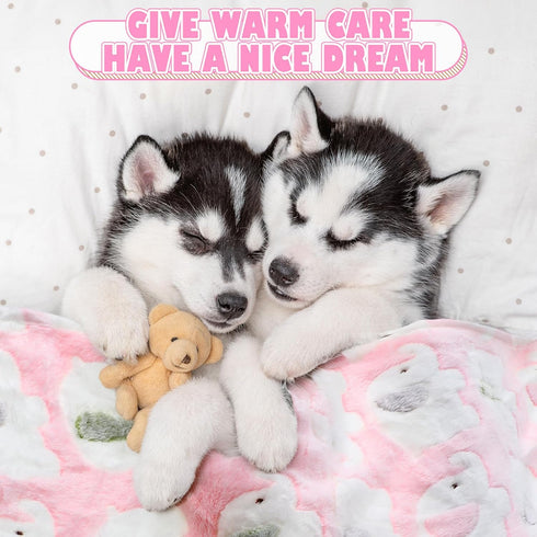 Chumia 18 Pcs Fleece Pet Blanket, Soft Warm Sleep Mat, Cute Puppy Supplies, 30 x 20 Inch Bed Blankets for Dog Cat