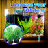 Green Aquarium Plant Ornaments 10Pcs Lifelike Plastic Fish Tank Foreground Grass for Water Tank Decorations