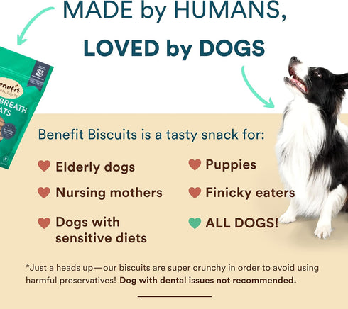 Benefit Biscuits, All Natural Dog Treats, Certified Vegan, Non GMO, Wheat Free, Healthy Dog Biscuits, 7oz
