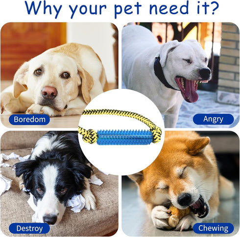 ChengFu Interactive Dog Toys: Crate Training Aids, Puppy Teething Toys, Peanut Butter Treat Dispenser