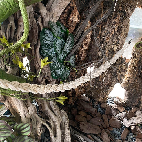 Pro Bamboo Kitchen 23.62x1.37in Hermit Crab Climbing Rope Hook Sucker Grey Braided Wool Reptile Swing Habitat