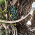 Pro Bamboo Kitchen 23.62x1.37in Hermit Crab Climbing Rope Hook Sucker Grey Braided Wool Reptile Swing Habitat