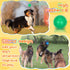 Lenwen 24 Pcs 3.5 Inch Spikey Squeaky Dog Balls - Durable Chew Toys for Medium Large Dogs, Teething Fetch Toys