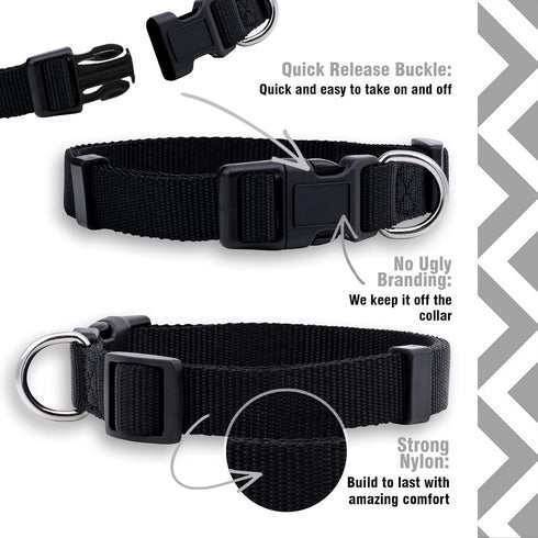 Native Pup Basic Nylon Dog Collar, Adjustable for Small, Medium, Large Pets & Puppies, Cute Colors (Large, Black)