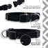 Native Pup Basic Nylon Dog Collar, Adjustable for Small, Medium, Large Pets & Puppies, Cute Colors (Large, Black)