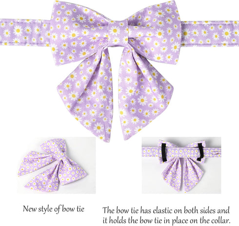 Spring Dog Collar with Sailor Bow by Lionet Paws, Soft Adjustable Cute Daisy Collar for Small Dogs (Neck 10-16 inches)