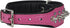 Dogs My Love Spiked Studded Genuine Leather Dog Collar, 1.75" Wide (14"-17" Neck; 1.75" Wide, Pink/Black)