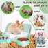 Reallnaive 15 Set Pcs Rabbit Starter Kit Small Rabbit Litter Box Girls Gift Animal Grooming Kit Bunny Toys Bowl