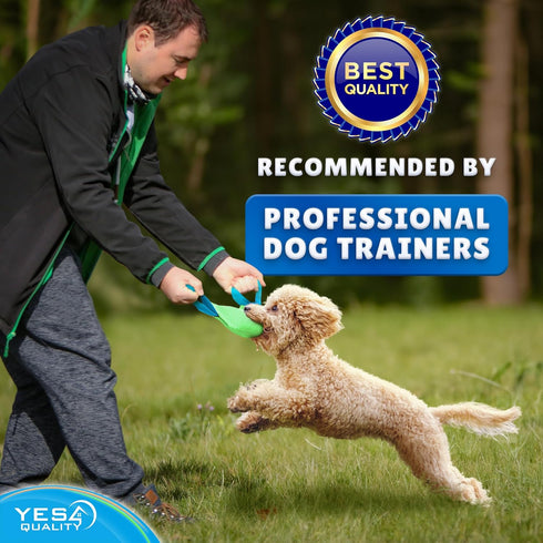 YES4QUALITY Durable Dog Bite Tug Toy (11.8"x3.5"), Green Pull Toy with Blue Handles for Small Medium Dogs