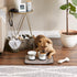 12x18, Bone Dry Machine Washable, Ultra Absorbent Pet Mat, Brown Stripe